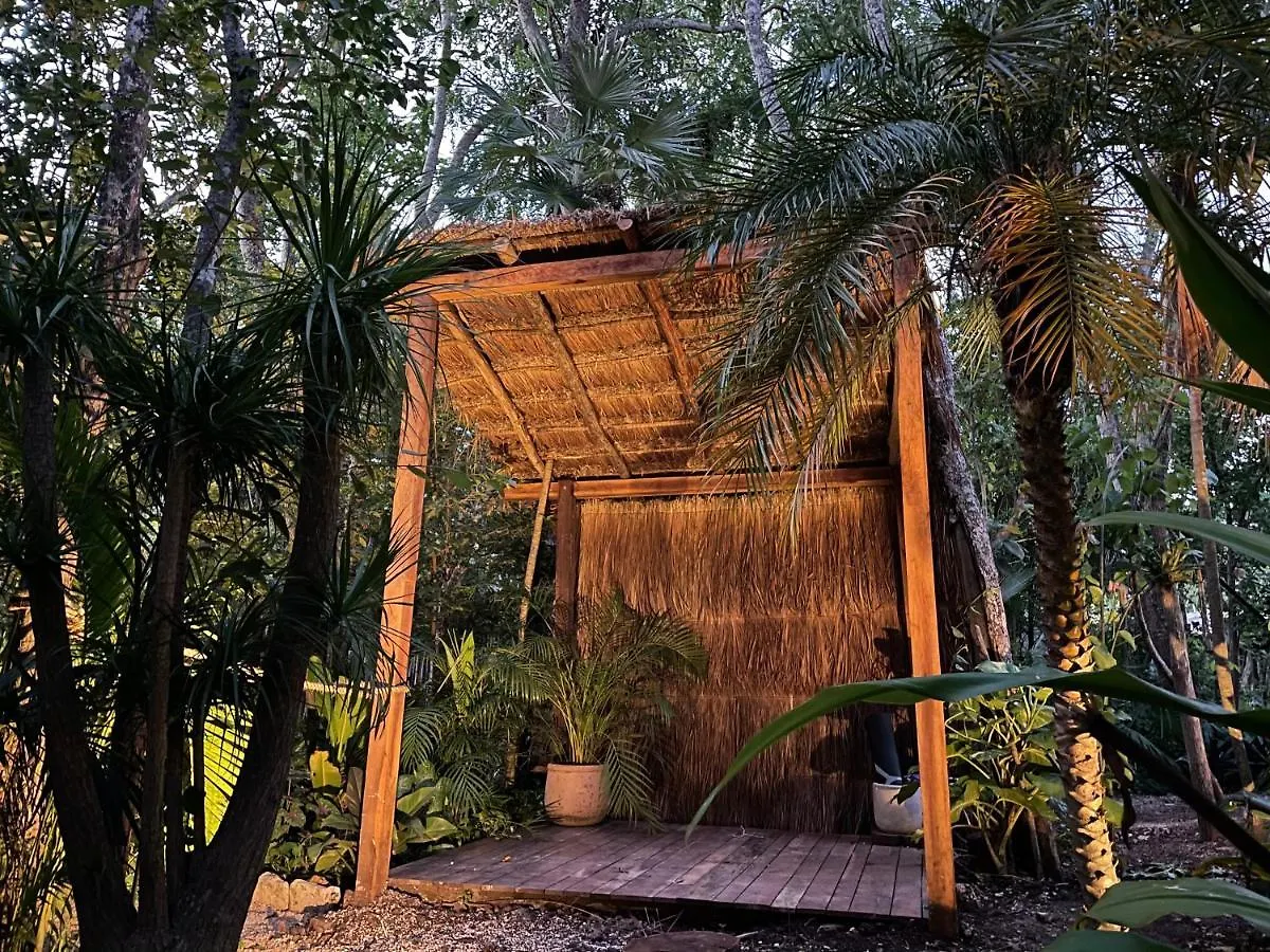 Selvatik - Jungle Pod Hotel Tulum Mexico